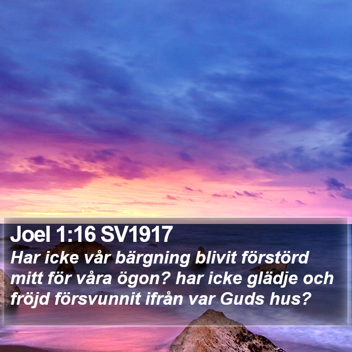 Joel 1:16 SV1917 Bible Study