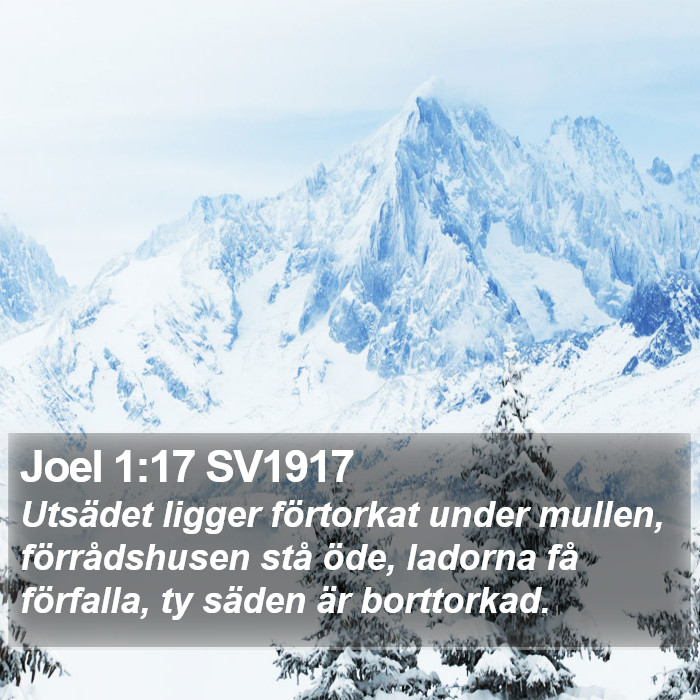 Joel 1:17 SV1917 Bible Study