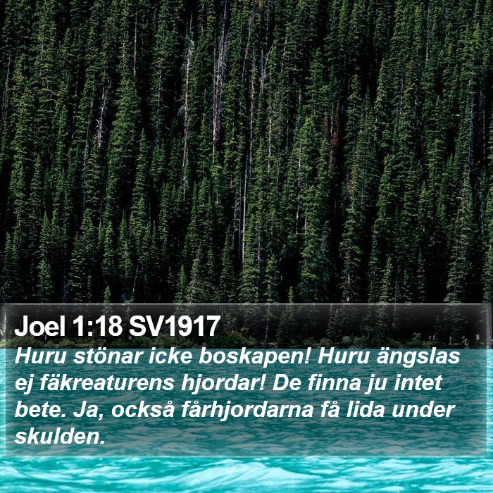 Joel 1:18 SV1917 Bible Study