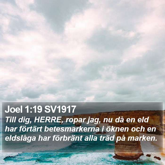 Joel 1:19 SV1917 Bible Study