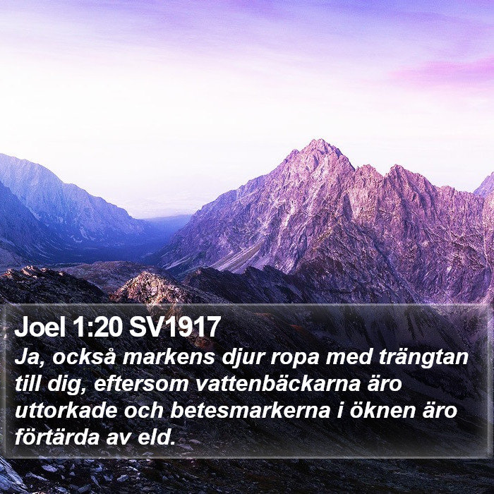 Joel 1:20 SV1917 Bible Study