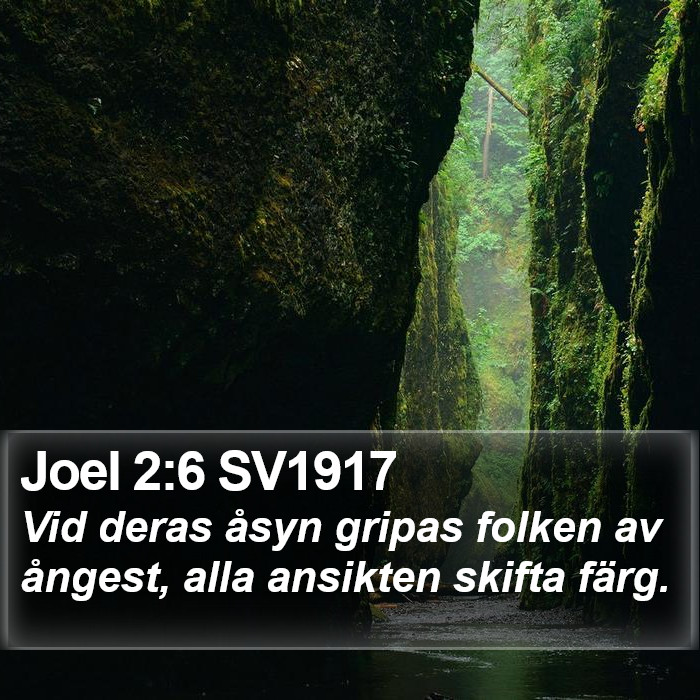 Joel 2:6 SV1917 Bible Study