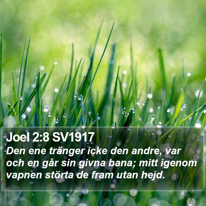 Joel 2:8 SV1917 Bible Study