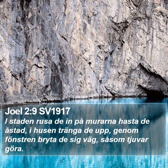 Joel 2:9 SV1917 Bible Study