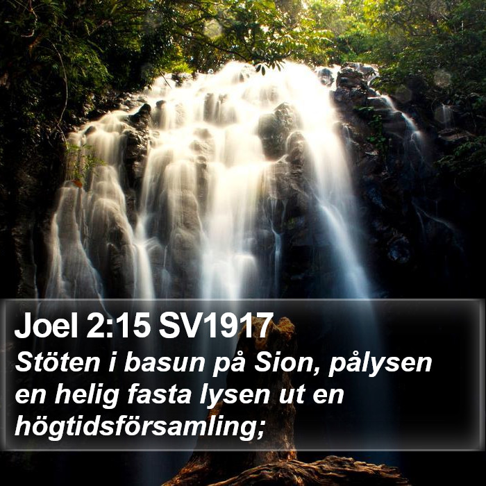 Joel 2:15 SV1917 Bible Study