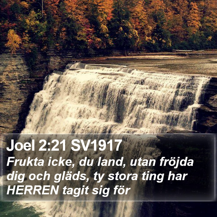 Joel 2:21 SV1917 Bible Study