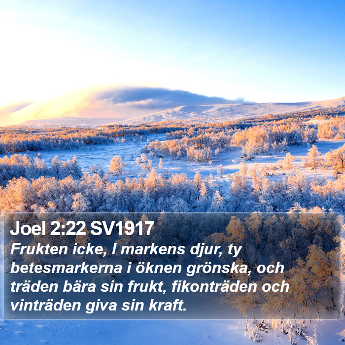 Joel 2:22 SV1917 Bible Study