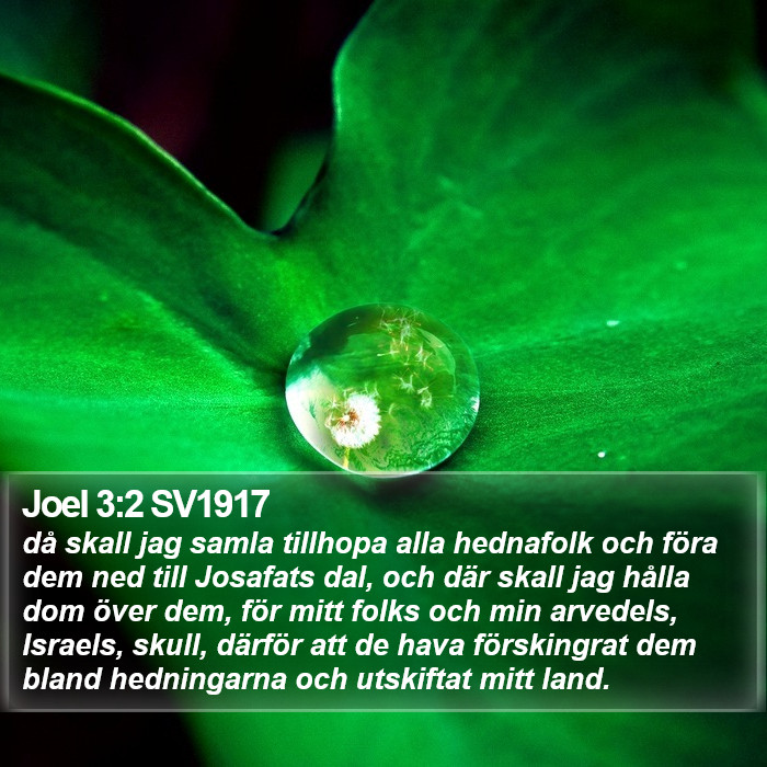 Joel 3:2 SV1917 Bible Study