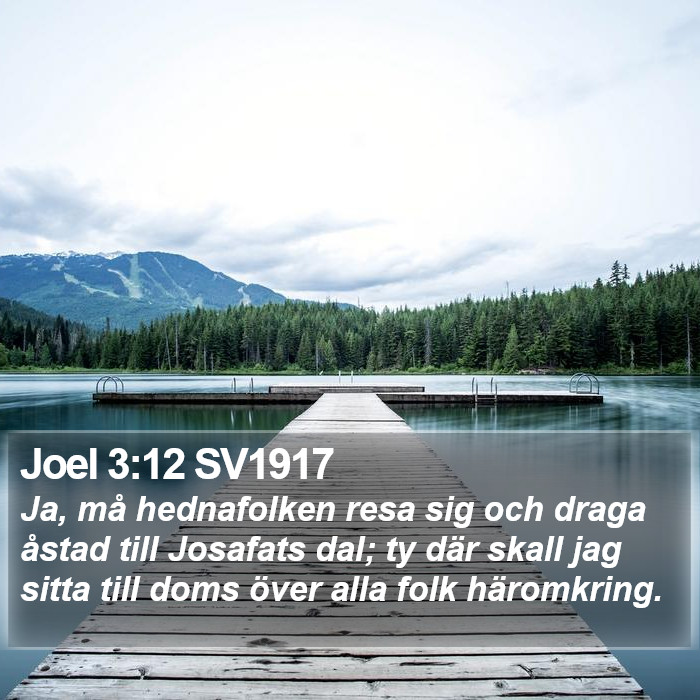 Joel 3:12 SV1917 Bible Study