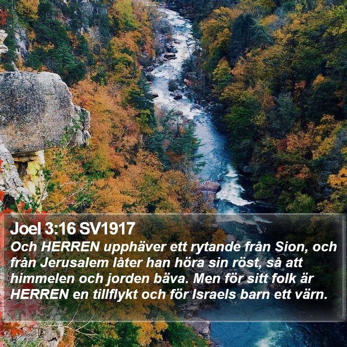 Joel 3:16 SV1917 Bible Study