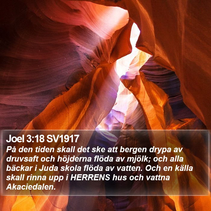 Joel 3:18 SV1917 Bible Study