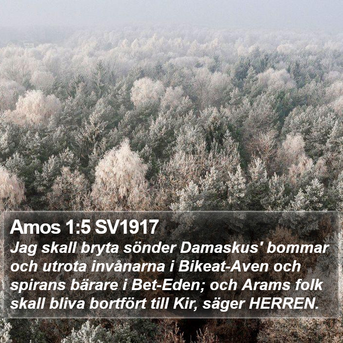 Amos 1:5 SV1917 Bible Study