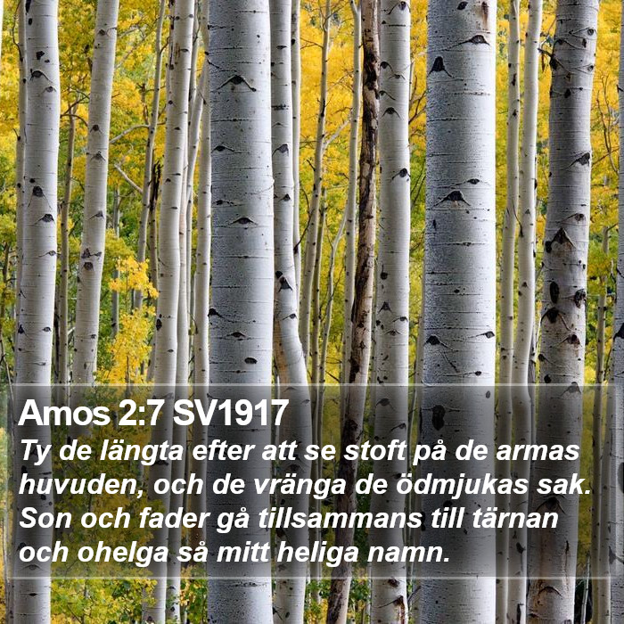 Amos 2:7 SV1917 Bible Study