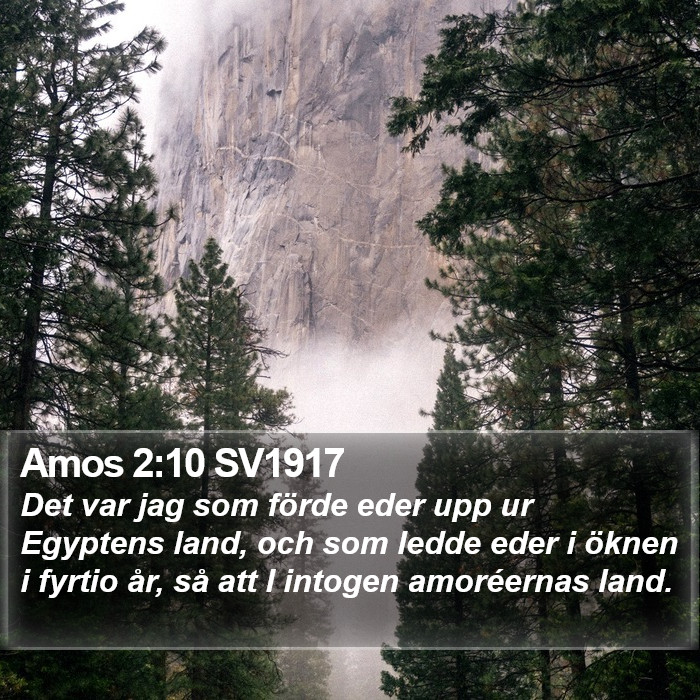 Amos 2:10 SV1917 Bible Study