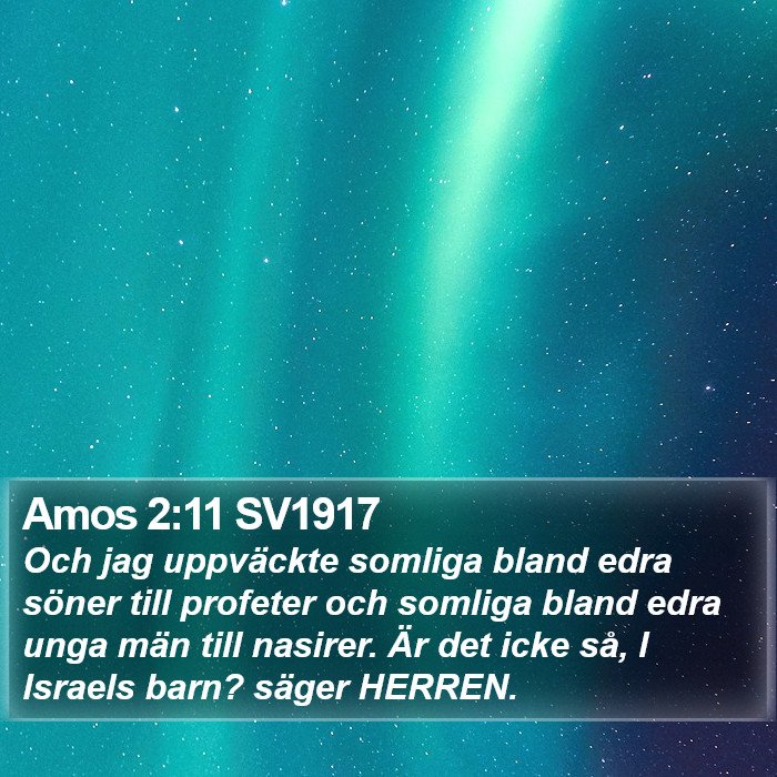 Amos 2:11 SV1917 Bible Study