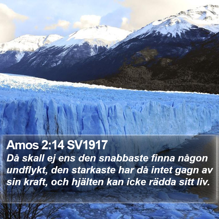 Amos 2:14 SV1917 Bible Study