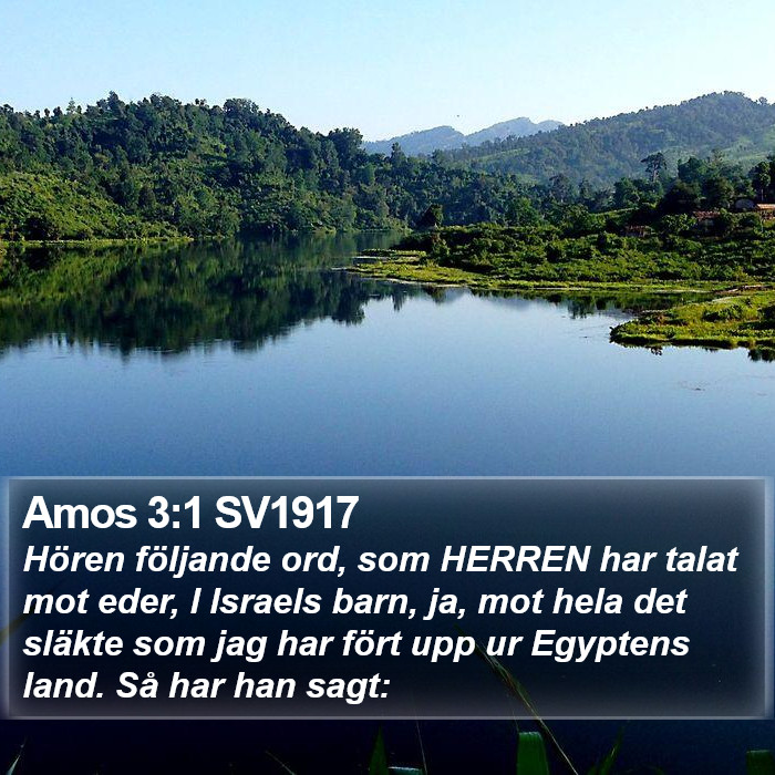 Amos 3:1 SV1917 Bible Study