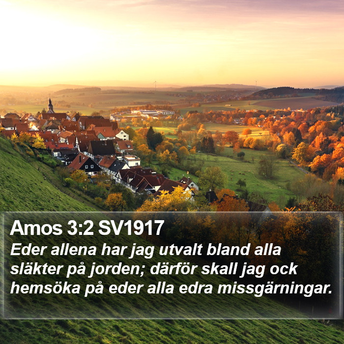 Amos 3:2 SV1917 Bible Study