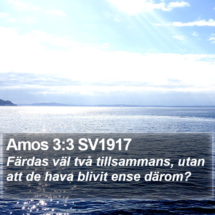 Amos 3:3 SV1917 Bible Study