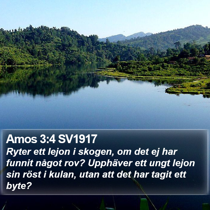 Amos 3:4 SV1917 Bible Study