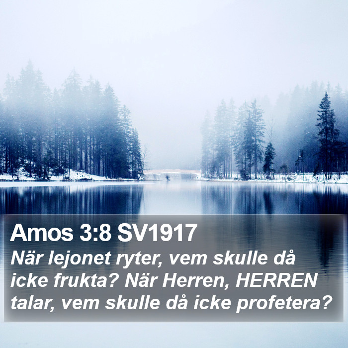 Amos 3:8 SV1917 Bible Study