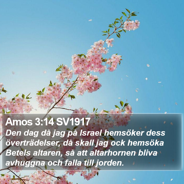 Amos 3:14 SV1917 Bible Study