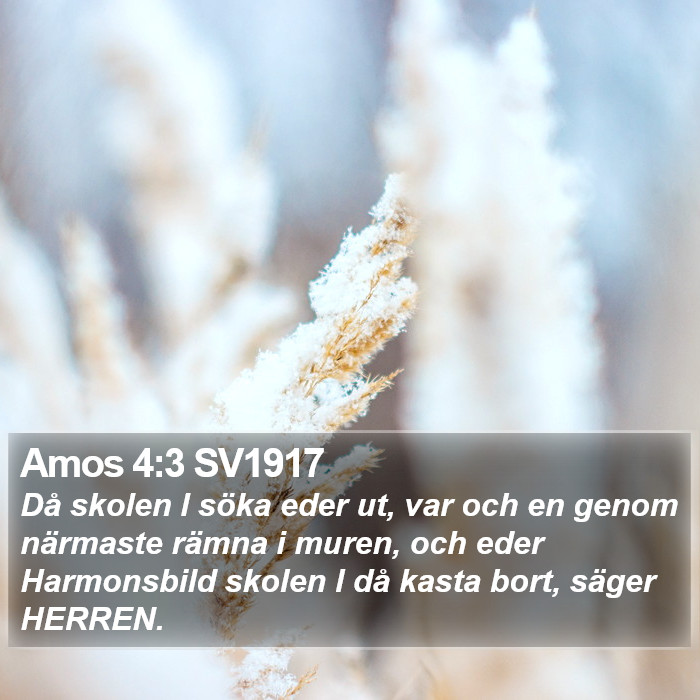 Amos 4:3 SV1917 Bible Study