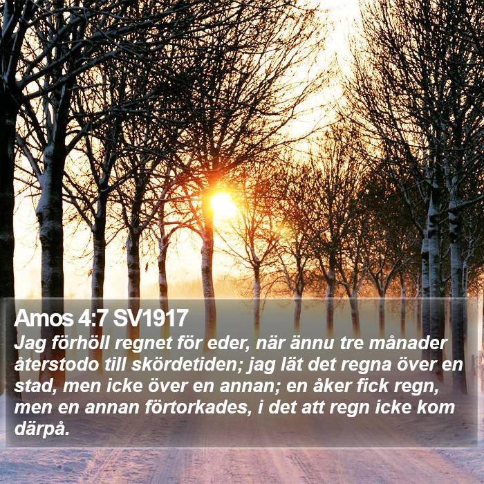 Amos 4:7 SV1917 Bible Study