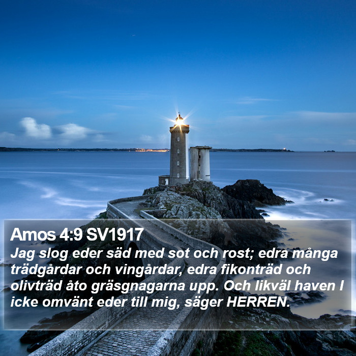 Amos 4:9 SV1917 Bible Study