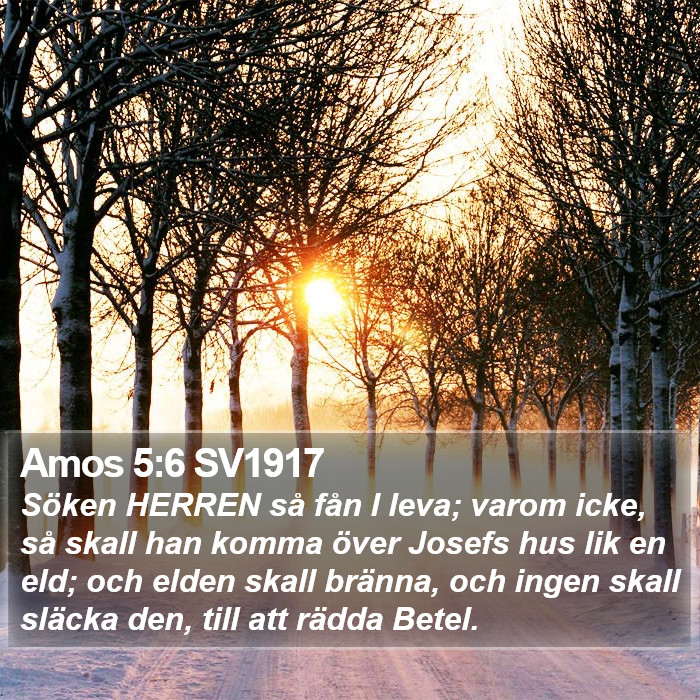 Amos 5:6 SV1917 Bible Study