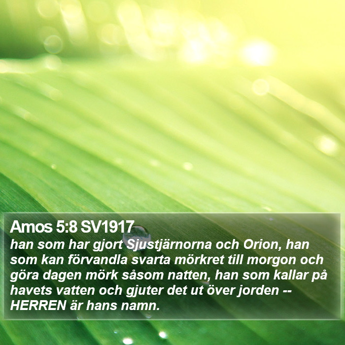 Amos 5:8 SV1917 Bible Study