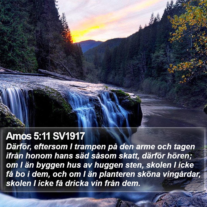 Amos 5:11 SV1917 Bible Study