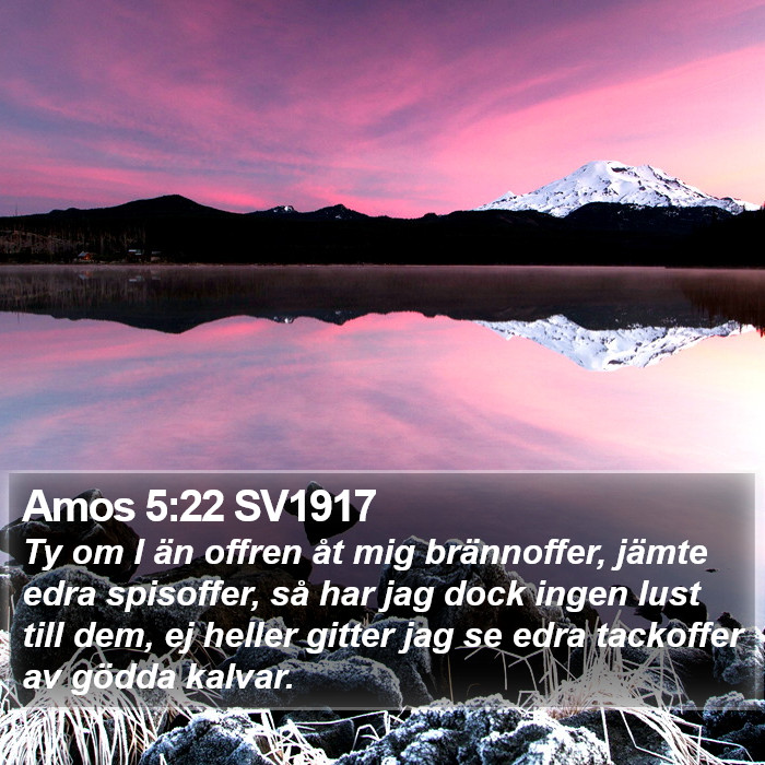 Amos 5:22 SV1917 Bible Study