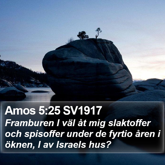 Amos 5:25 SV1917 Bible Study