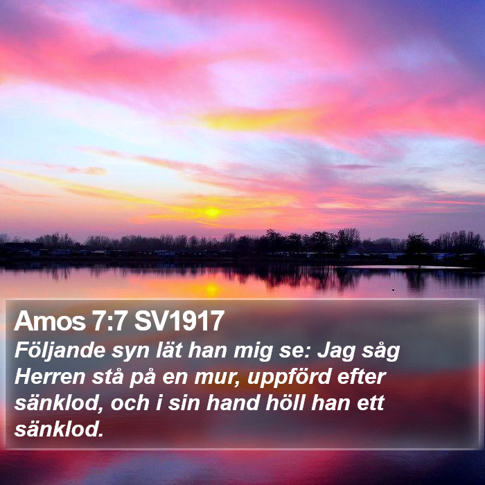 Amos 7:7 SV1917 Bible Study