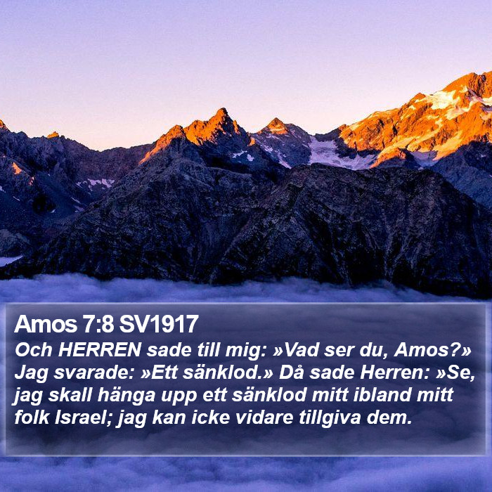 Amos 7:8 SV1917 Bible Study