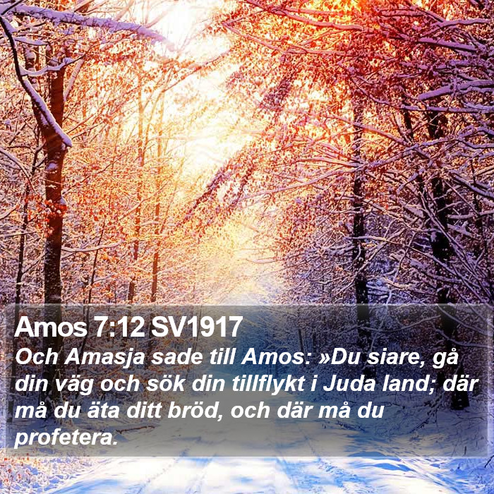 Amos 7:12 SV1917 Bible Study