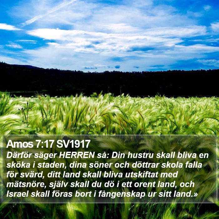 Amos 7:17 SV1917 Bible Study