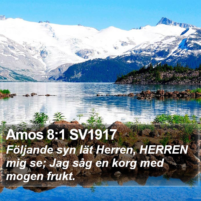 Amos 8:1 SV1917 Bible Study