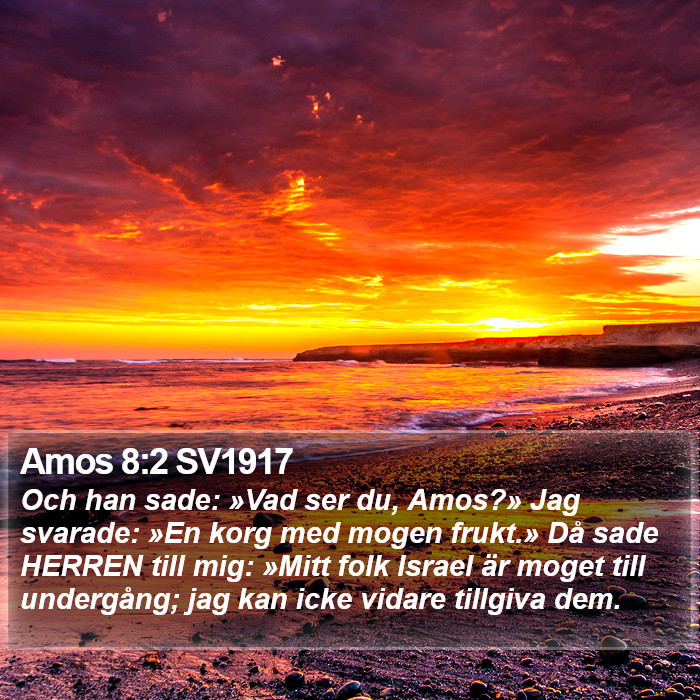 Amos 8:2 SV1917 Bible Study