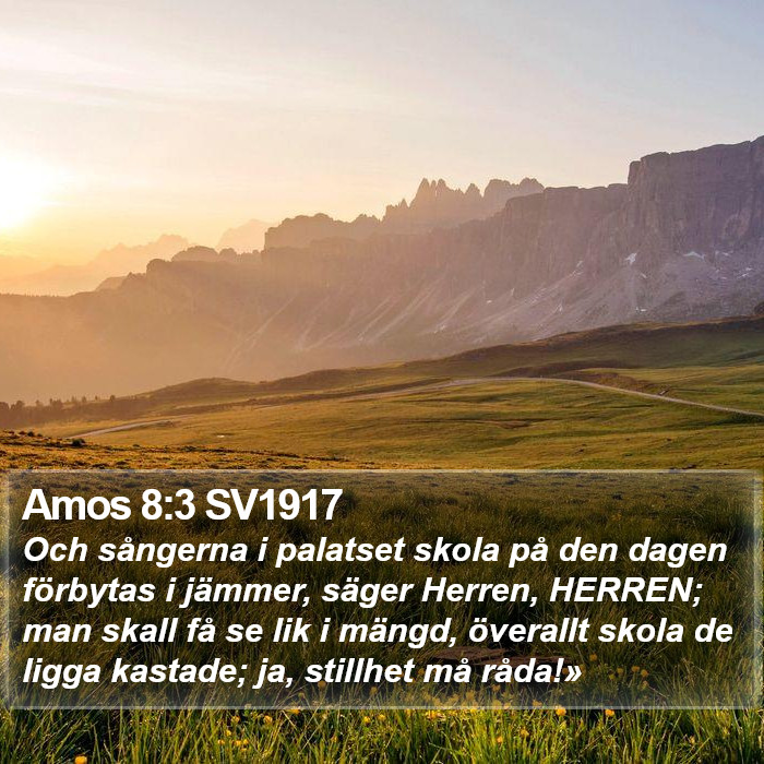 Amos 8:3 SV1917 Bible Study