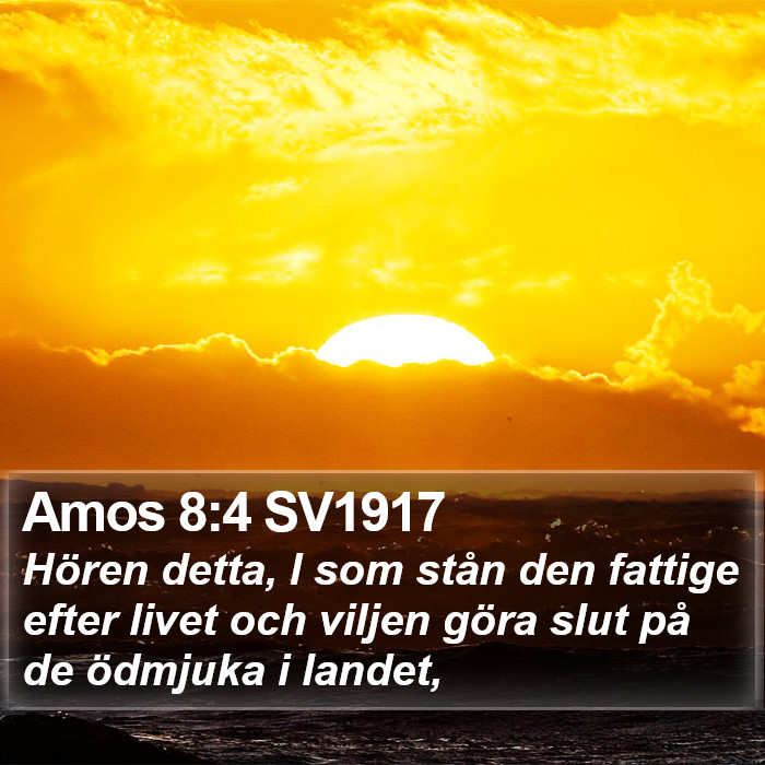 Amos 8:4 SV1917 Bible Study