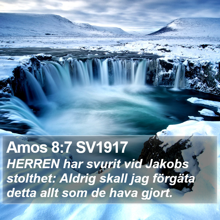 Amos 8:7 SV1917 Bible Study