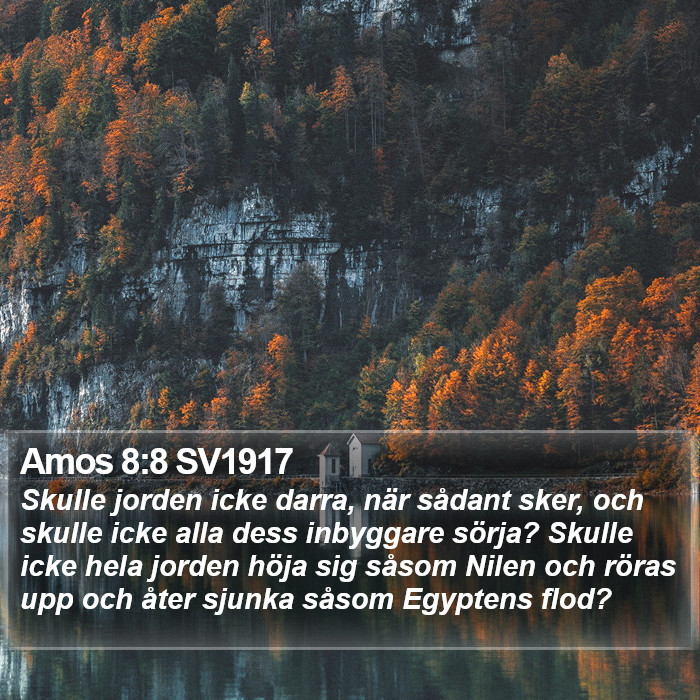 Amos 8:8 SV1917 Bible Study