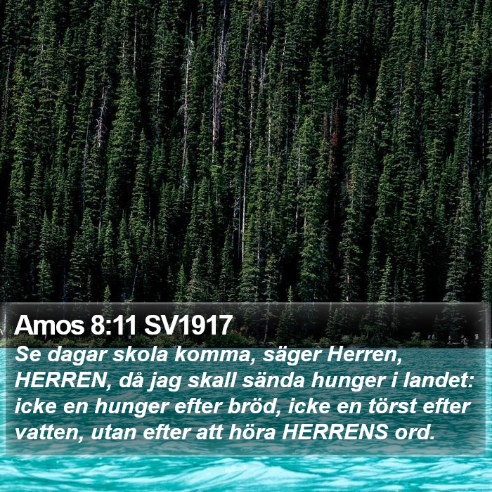 Amos 8:11 SV1917 Bible Study