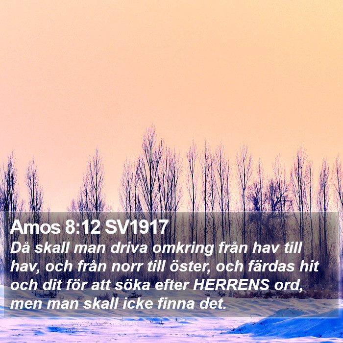 Amos 8:12 SV1917 Bible Study