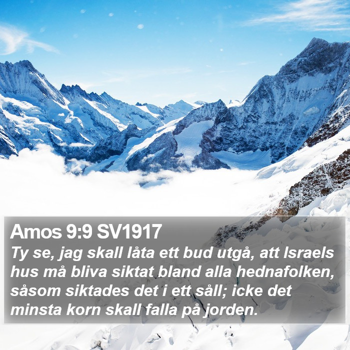 Amos 9:9 SV1917 Bible Study