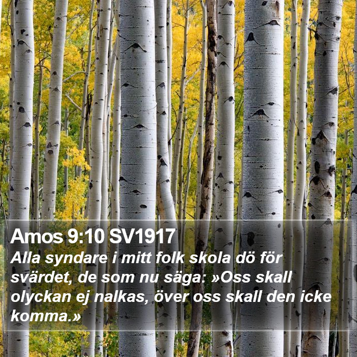 Amos 9:10 SV1917 Bible Study