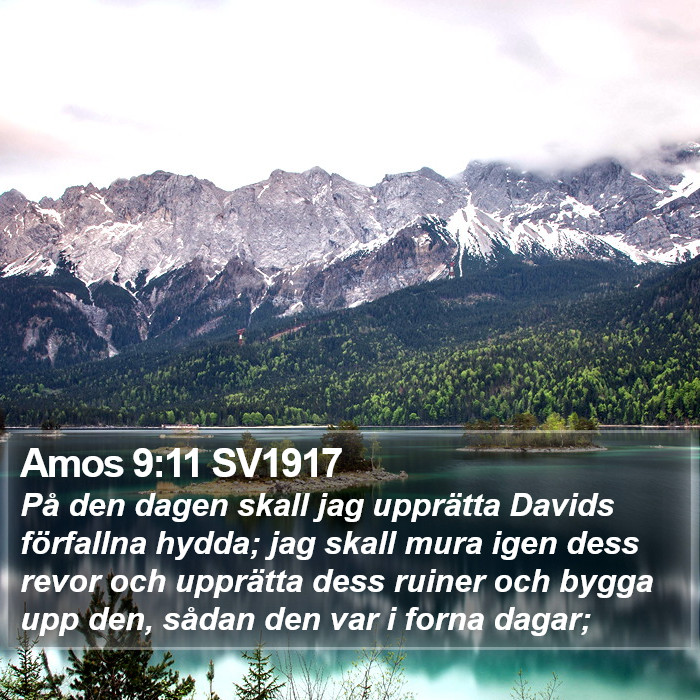 Amos 9:11 SV1917 Bible Study