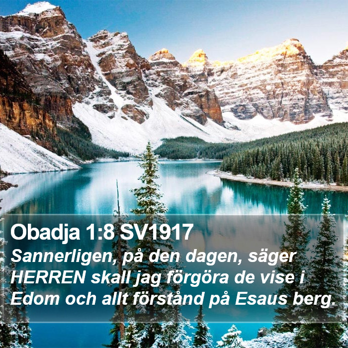 Obadja 1:8 SV1917 Bible Study